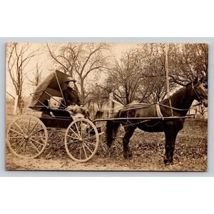Old Real Photo Postcard Woman of Leisure Fancy Hat Horse Buggy Fur Blanket RPPC